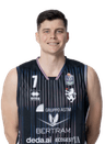 Amar Alibegovic